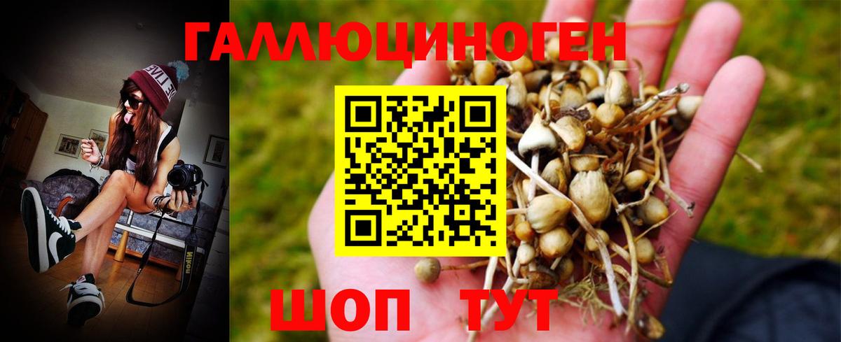 Галлюциногенные грибы MAGIC MUSHROOMS  Вход с VPN  наркошоп  Выборг 